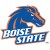 Boise State University Broncos